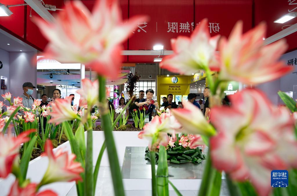太阳游戏攻略